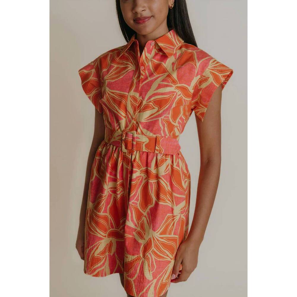 NEW LAROQUE remi mini dress in caldera blooms